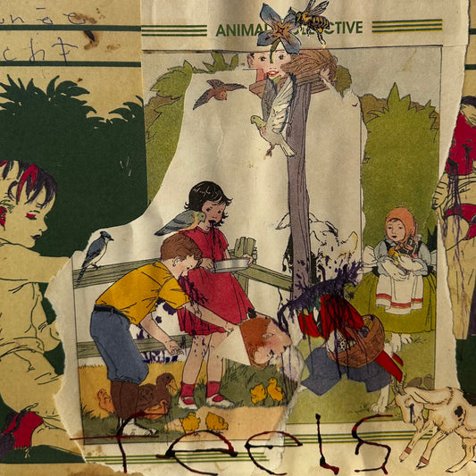 Animal Collective – Feels