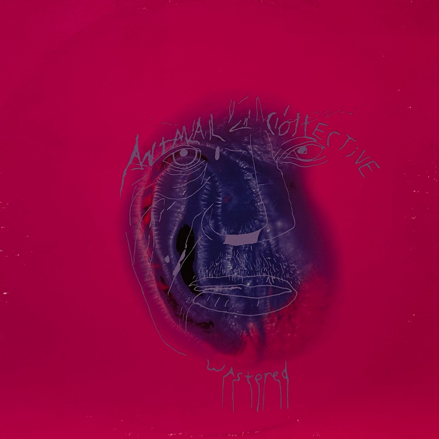 Animal Collective / Black Dice – Wastered