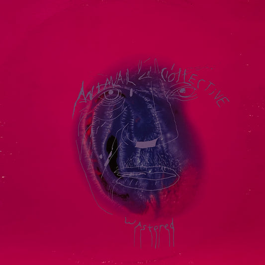 Animal Collective / Black Dice – Wastered