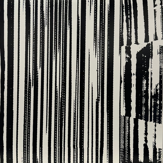 The Dead C – Harsh 70's Reality