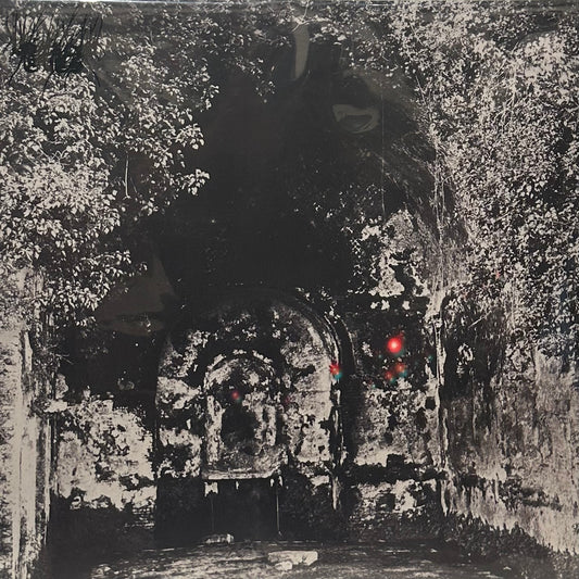 Yellow Eyes – Rare Field Ceiling