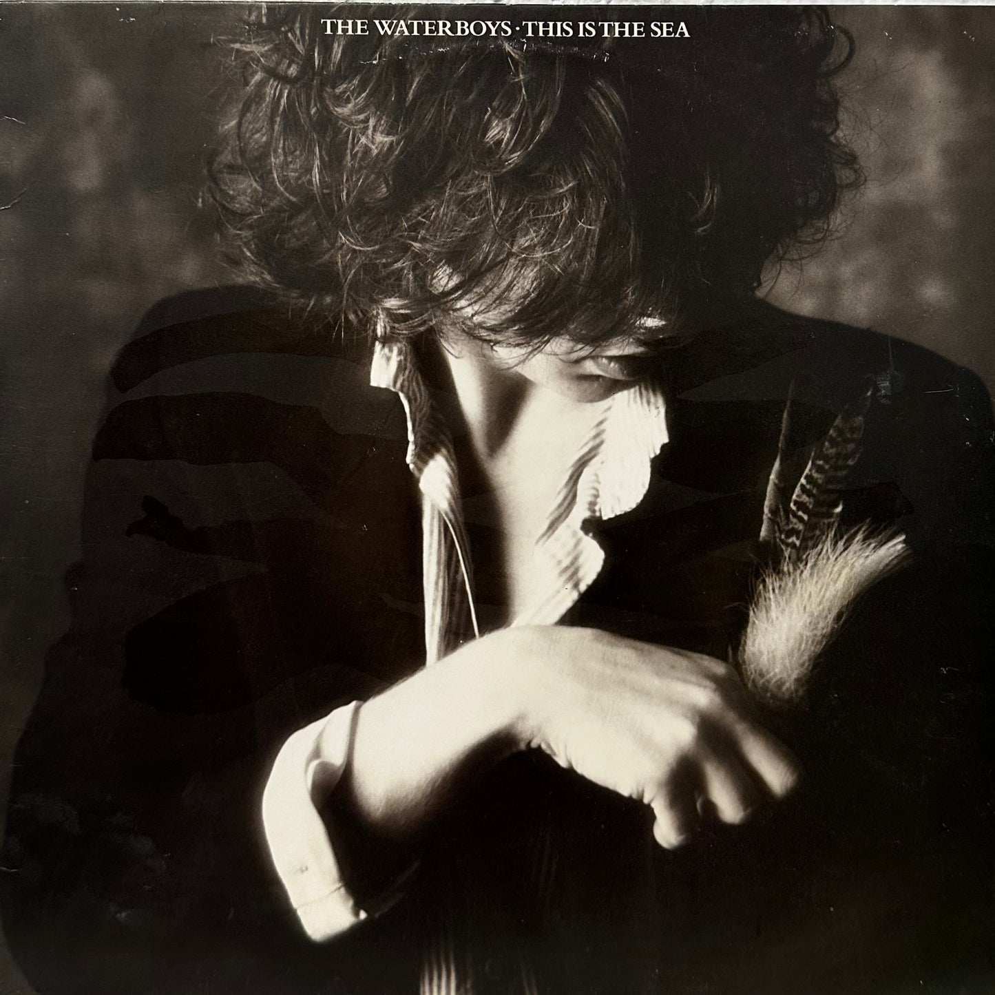 The Waterboys – This Is The Sea