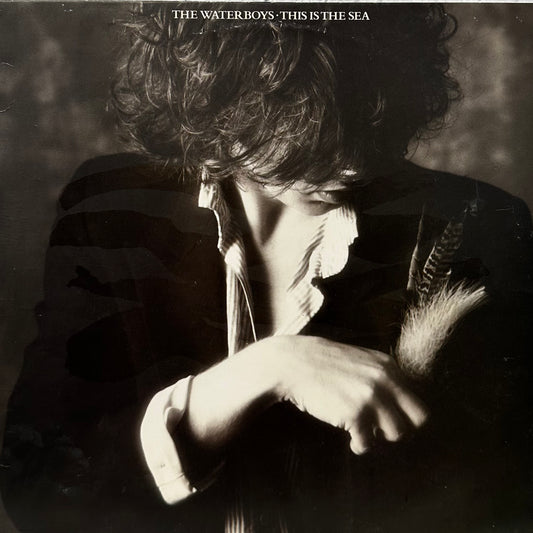 The Waterboys – This Is The Sea