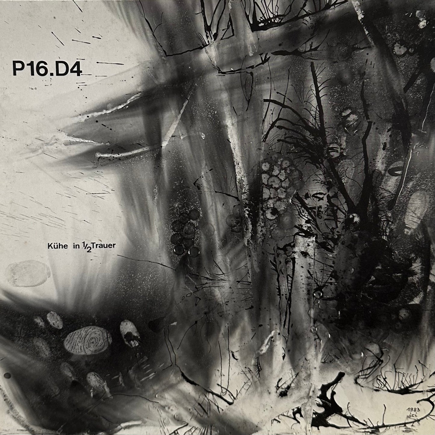 P16.D4 – Kühe In 1/2 Trauer