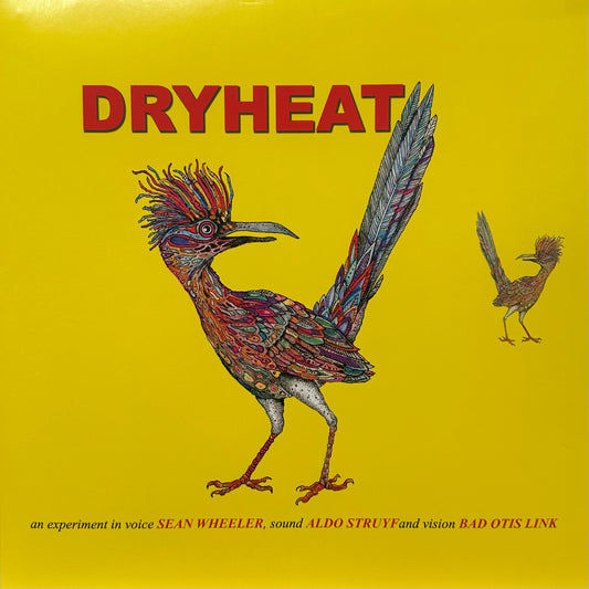 Sean Wheeler and Aldo Struyf – Dryheat