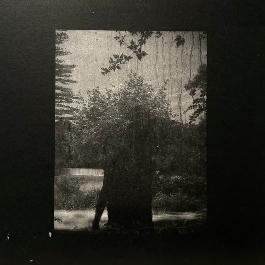 Grouper – Ruins