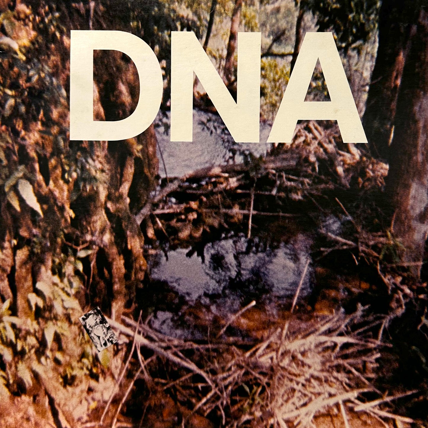 DNA – A Taste Of DNA