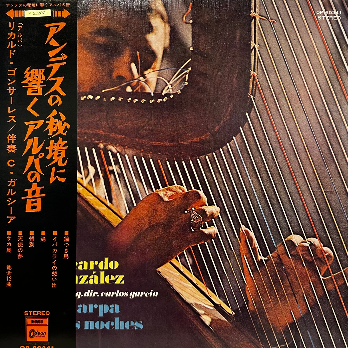 Ricardo Gonzales - Un Arpa En Las Noches