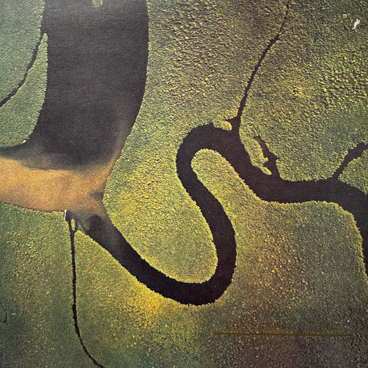 Dead Can Dance – The Serpent's Egg