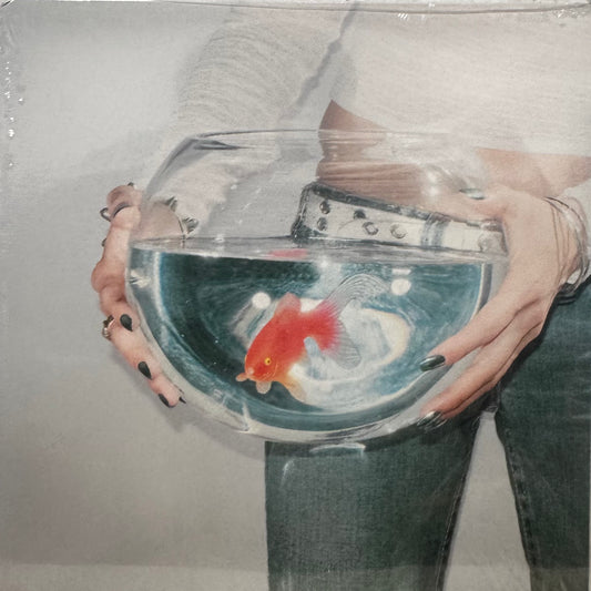 Fish Narc – frog song