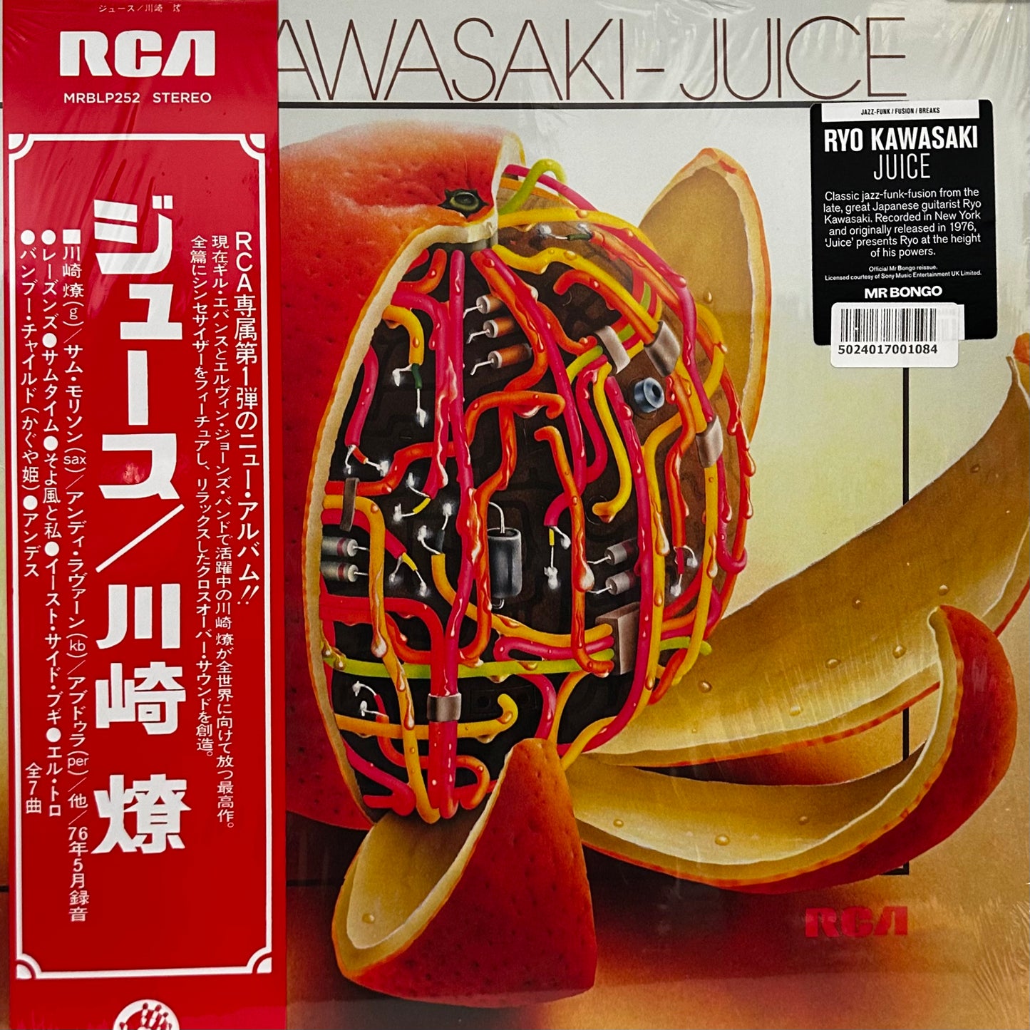 Ryo Kawasaki – Juice