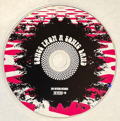 Songs From A Sonic Land - Various Artists