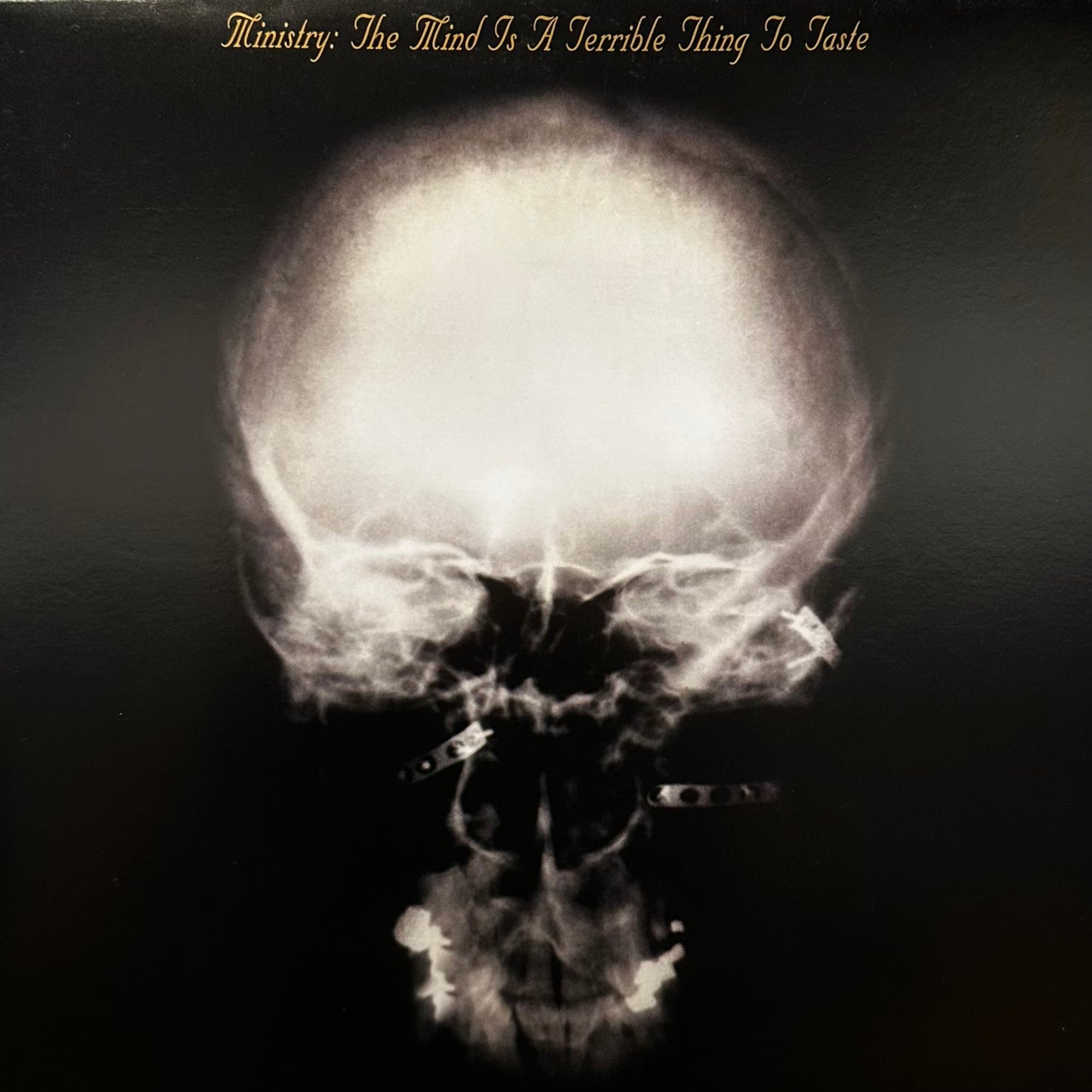 Ministry – The Mind Is A Terrible Thing To Taste