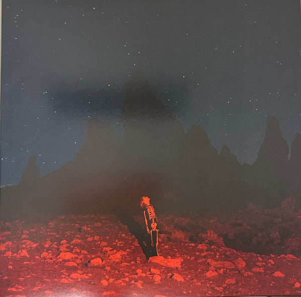 Phoebe Bridgers - Punisher