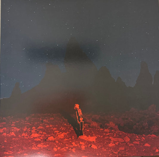 Phoebe Bridgers - Punisher