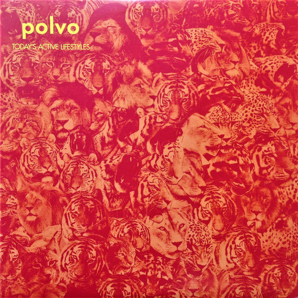 Polvo – Today's Active Lifestyles