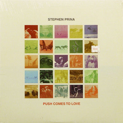 Stephen Prina – Push Comes To Love