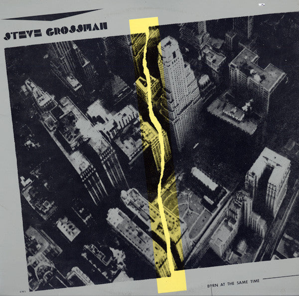 Steve Grossman - Born At The Same Time