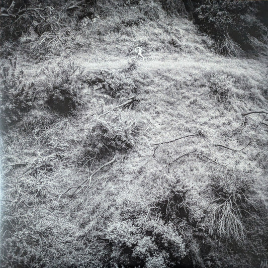 Anna Tivel - Animal Poem