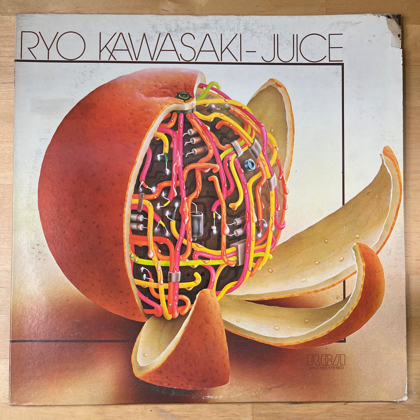 Ryo Kawasaki - Juice