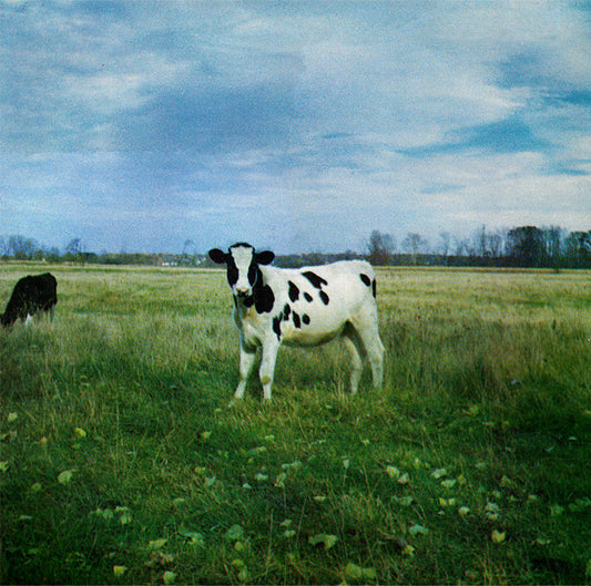 The Screaming Abdabs (Pink Floyd) - The Dark Side Of The Moo
