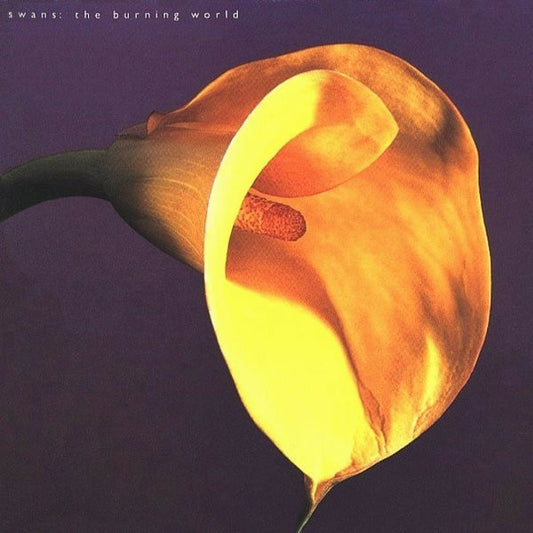SWANS - The Burning World