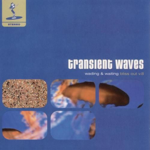 Transient Waves - Wading And Waiting (Bliss Out Vol. 8)