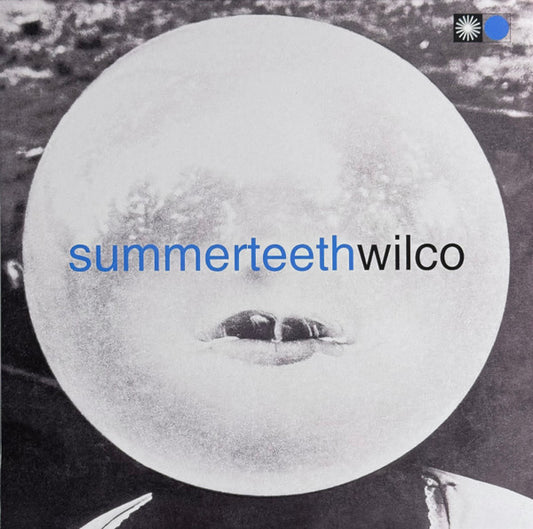 Wilco - Summerteeth